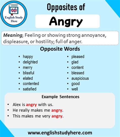 angry traduzione|angry meaning.